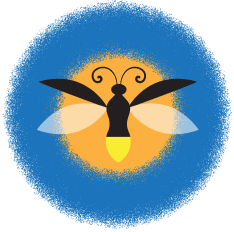 Soft Lights Foundation